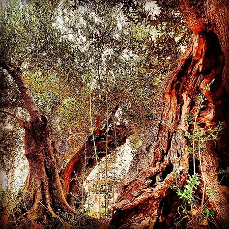 Rodi Studios شقة فندقية 3*